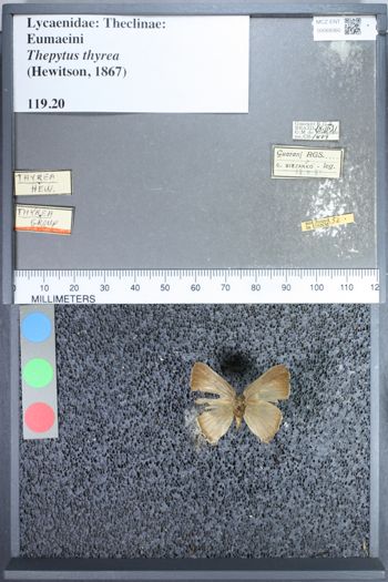 Media type: image;   Entomology 69360